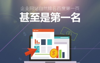 蜂鳥(niǎo)搜索營(yíng)銷(xiāo)系統(tǒng) 上?；ヂ?lián)網(wǎng)推廣公司的創(chuàng)新引擎