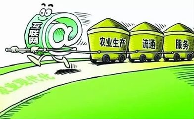 E如皋 以“互聯(lián)網(wǎng)+長(zhǎng)壽農(nóng)產(chǎn)品”為引擎，賦能農(nóng)業(yè)轉(zhuǎn)型新發(fā)展
